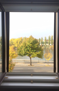 I love the river view from our office and love watching how „our“ tree changes as the seasons go by..