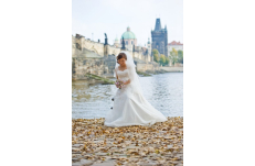 Wedding in Prague Wedding Dress