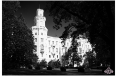 Wedding in Prague Hluboka Castle